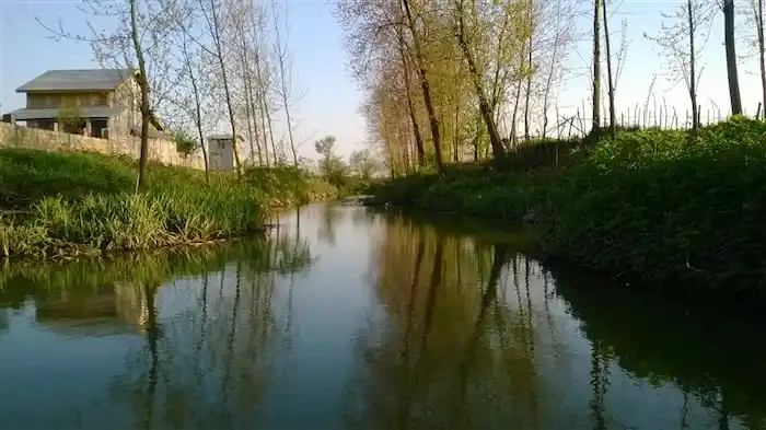 رودخانه-آرام-روستای-پیربازار-رشت 531645886446584
