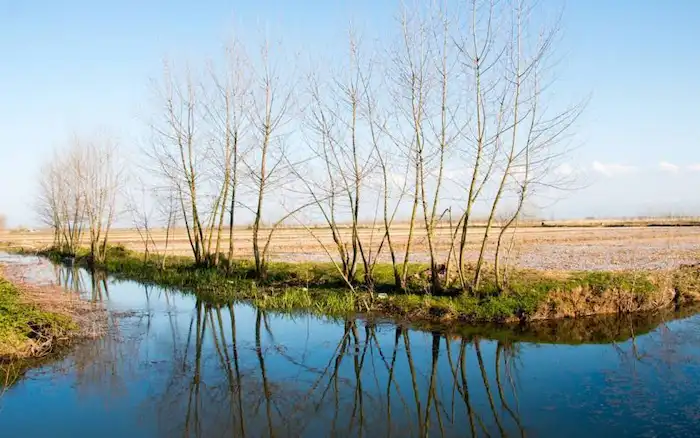 آب روان و زلال مرداب دهنه سر شیجان خمام 4689548947874