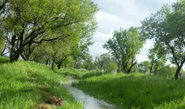 چشمه روان در زمین های سبز روستای فشتکه 65416584654