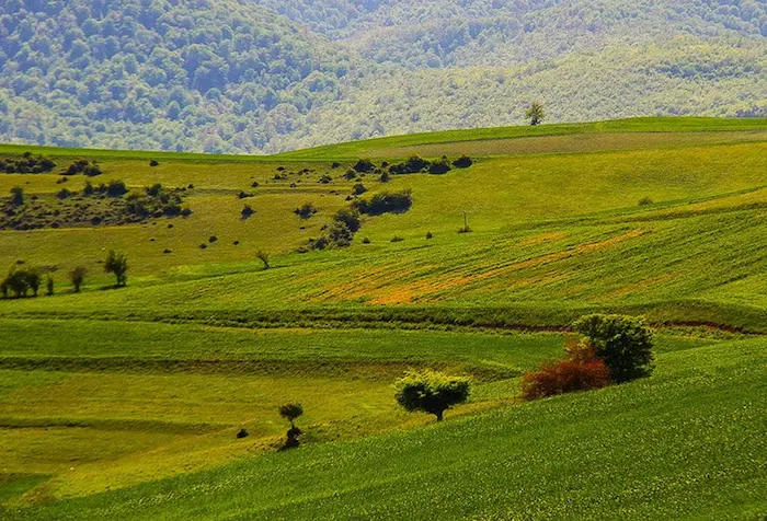 زمین باغی نزدیک به جاذبه های دیدنی در شهر ماسال 57524534132