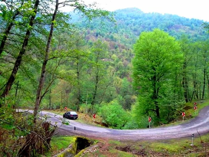 مسیر جنگلی در کوهستان های فومن 161256141