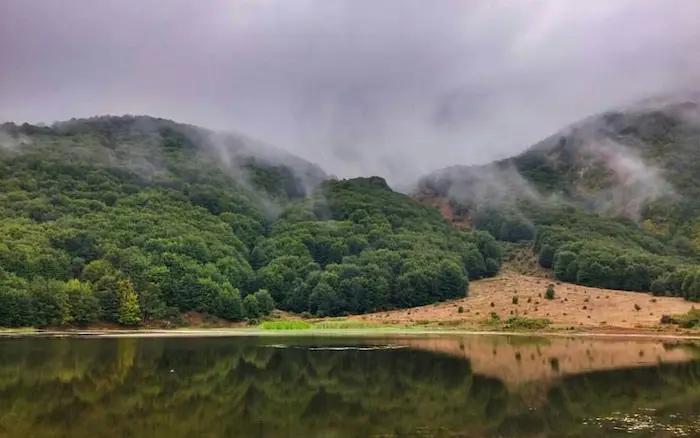 دریاچه و جنگل روستای داماش 485787