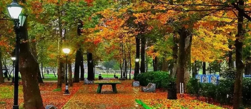 امکانات رفاهی باغ محتشم رشت و فصل برگ ریزان درختان این باغ در پاییز 5645416